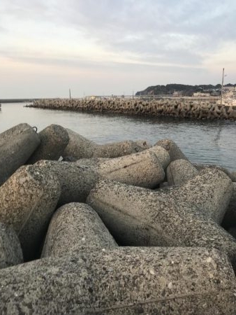 寒ボラが食べたい！