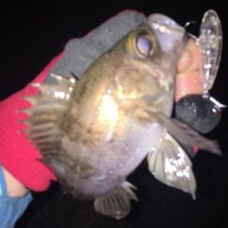 プラッギン…グ？