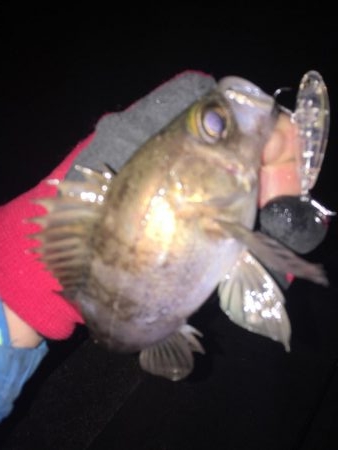 プラッギン…グ？