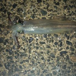 めちゃ寒かった