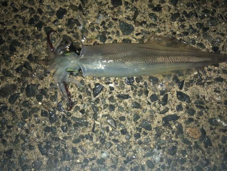 めちゃ寒かった