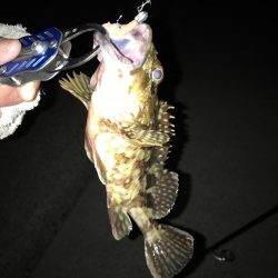 ロックフィッシング