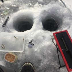 ワカサギ氷上釣り