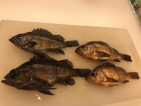 爆釣メバリング