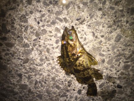 今年初のタケノコ狩り