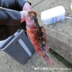 極寒落とし込み