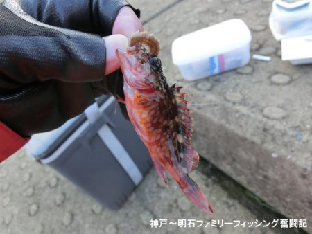 極寒落とし込み