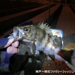 ライトゲーム日和