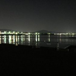 メバリングランガン