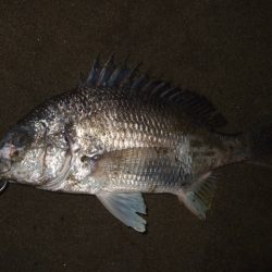 真冬から春のパターンへ