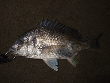 真冬から春のパターンへ