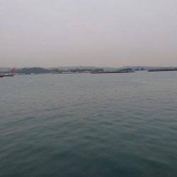 サゴシジャンプ