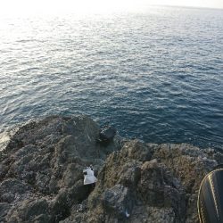 方座浦でグレ釣り