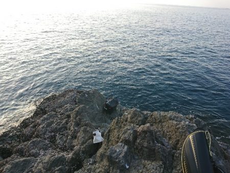 方座浦でグレ釣り