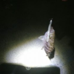 仕事終わりランガン3時間