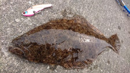 なんか釣れんかな