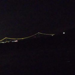 嬉しいピキイチ！