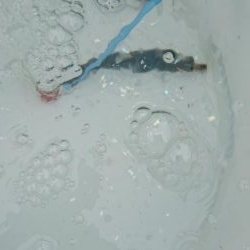 久しブリ❗逃しイワシ