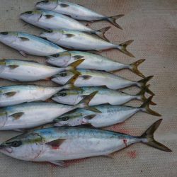 盛漁丸で初釣り