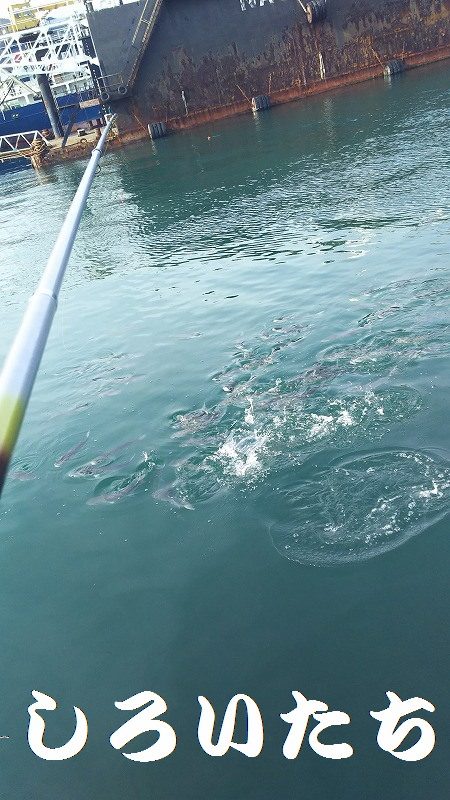 のんびりしてたら・・・。