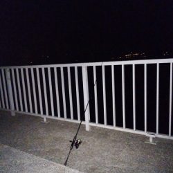 メバルはいずこ…？