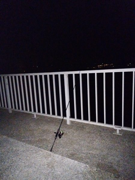 メバルはいずこ…？