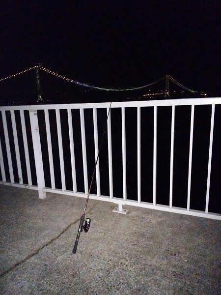 初フロート釣果