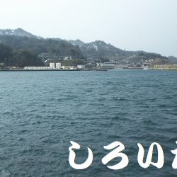 ここまできて、これだけか～