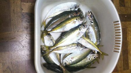 春の嵐前に強行してきました❗