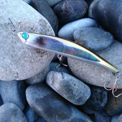 ヒラメ不発でサゴシ。