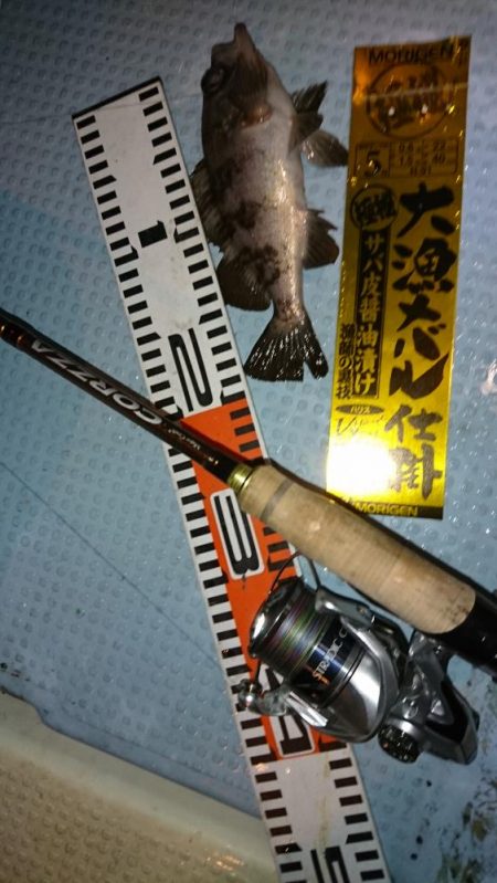 皆既月食ナイトメバルサビキ