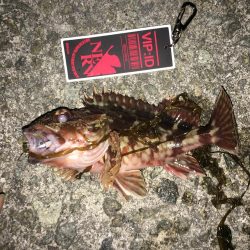 凪のガシリング