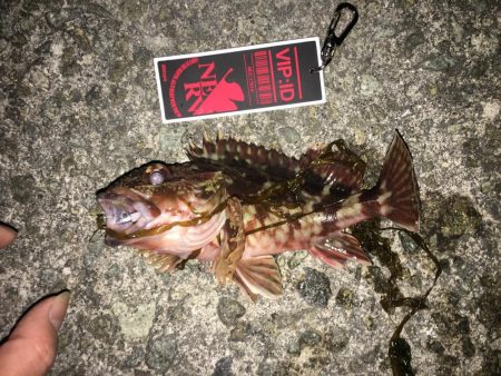 凪のガシリング