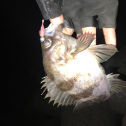 メバリング爆釣第二弾