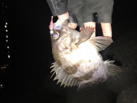 メバリング爆釣第二弾