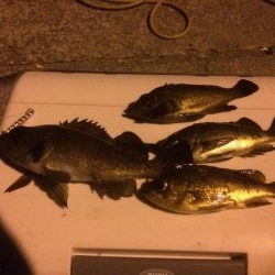 メバリング、ジグ