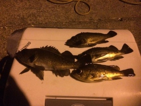 メバリング、ジグ