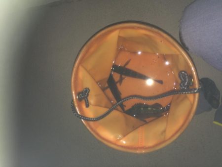 フロートリグ メバリング