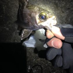 風は無い、潮流も無い