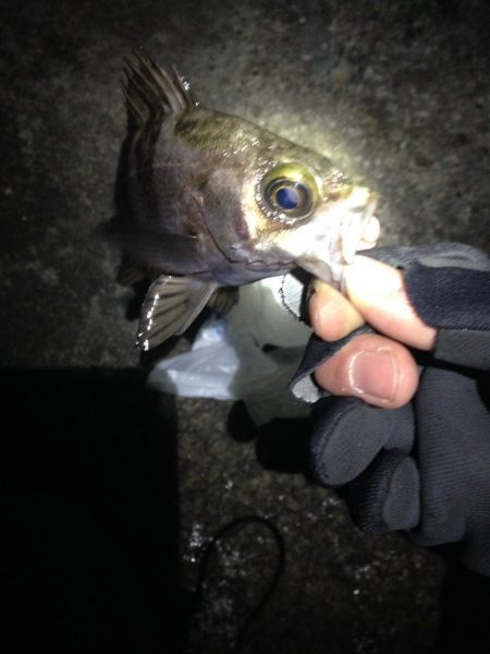 風は無い、潮流も無い