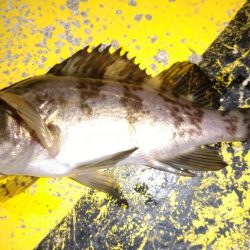 ちびっ子たちと