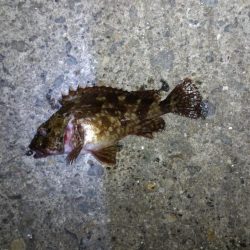 メバリングランガン