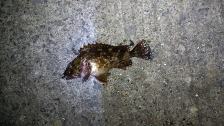 メバリングランガン