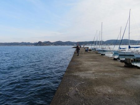 メバル狙いがカマス祭り！