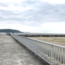 春の釣りシーズンを大蔵海岸で楽しもう！　大蔵海岸の釣り情報・釣果