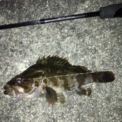 ボトムロックに癒されたメバリング