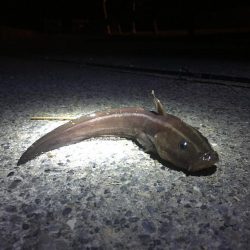 出張帰りに。。。