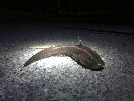 出張帰りに。。。