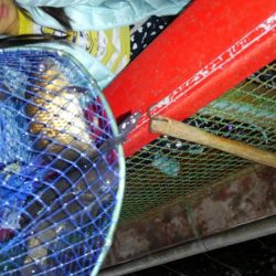 室内釣堀(フナ2匹)