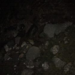 ホーム淀川での実釣調査